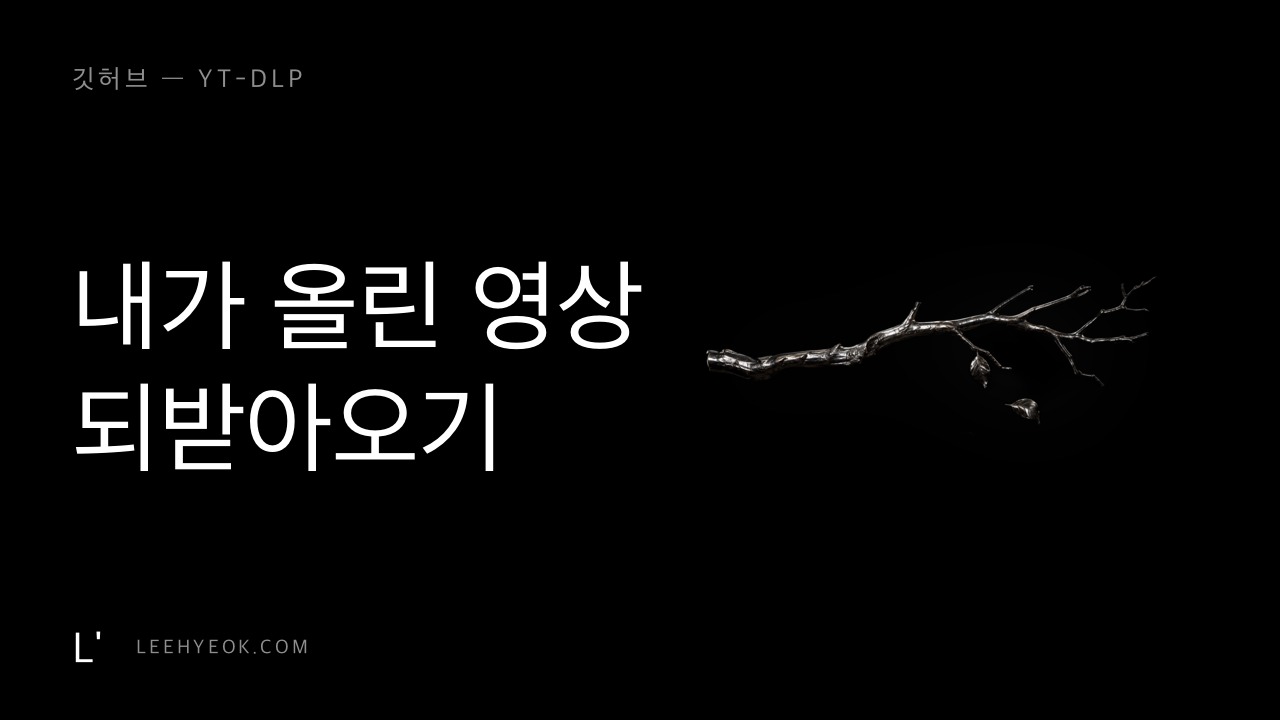yt-dlp — 내가 올린 영상, 되받아오기